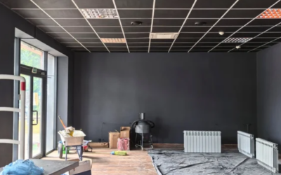 Your Business Needs Professional Junk Removal Services