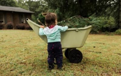 Cleaning Up After a Summer Storm
