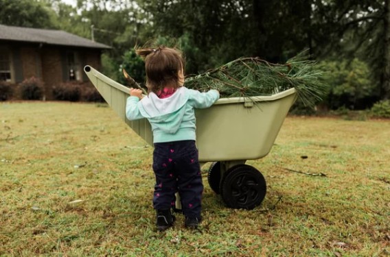 Cleaning Up After a Summer Storm
